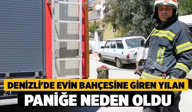 Denizli'de Evin Bahçesine Giren Yılan Paniğe Neden Oldu