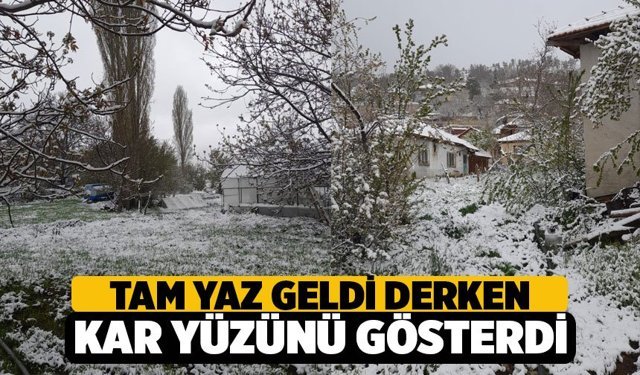 Denizli’de Kar Yağışı Etkilisini Gösterdi