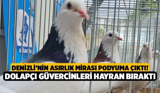 Denizli’nin Asırlık Mirası Podyuma Çıktı! Dolapçı Güvercinleri Hayran Bıraktı