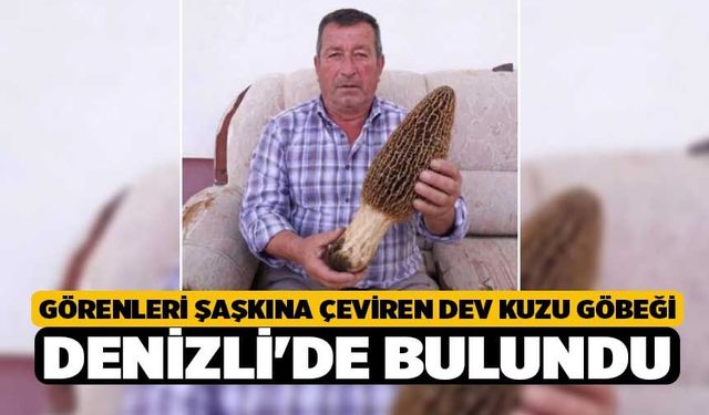 Görenleri Şaşkına Çeviren Dev Kuzu Göbeği Denizli'de Bulundu