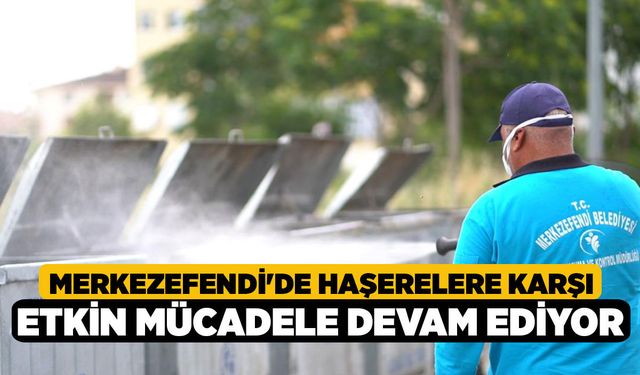 Merkezefendi'de Haşerelere Karşı Etkin Mücadele Devam Ediyor