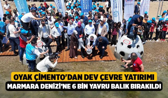 OYAK Çimento'dan Dev Çevre Yatırımı: Marmara Denizi’ne 6 Bin Yavru Balık Bırakıldı
