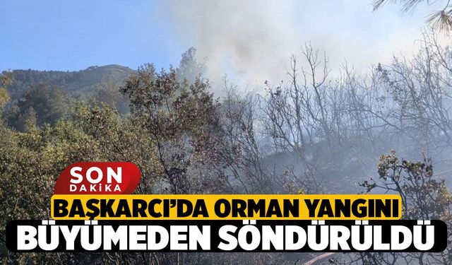 Başkarcı Dağı Orman Yangını: Orman Ve İtfaiye Ekipleri Alevleri Büyümeden Söndürdü!