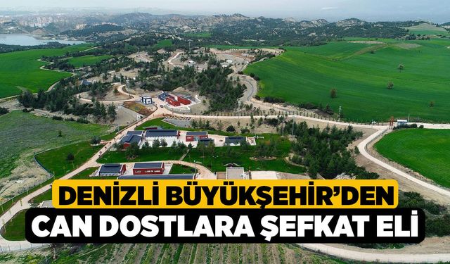 Denizli Büyükşehir’den Can Dostlara Şefkat Eli