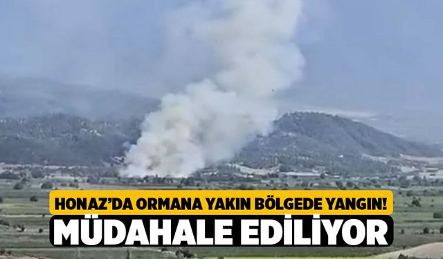 Denizli Kaklık Ve Kocabaş Arasında Arazi Yangını: Orman Ve İtfaiye Ekipleri Alarmda!