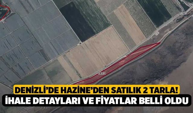 Denizli’de Hazine’den Satılık 2 Tarla! İhale Detayları ve Fiyatlar Belli Oldu
