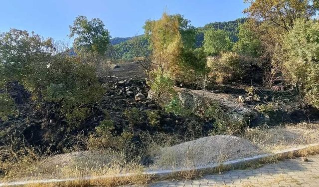 Denizli'de örtü yangını alevler büyümeden kontrol altına alındı