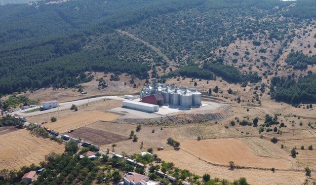 Tavas Lisanslı Depolarında Doluluk Oranı Zirvede! İbrahim Tefenlili Tesisleri Yerinde İnceledi