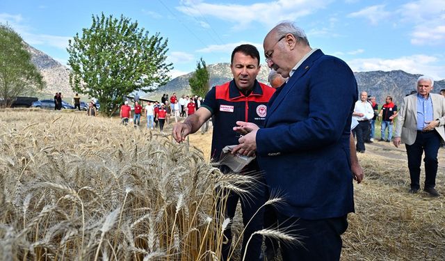 Vali Köşger Acıpayam’da Bereket Hasadına Katıldı
