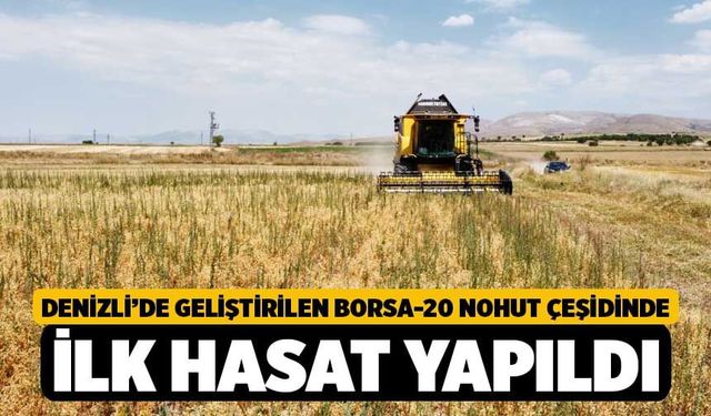 Denizli’de Geliştirilen Borsa-20 Nohut Çeşidinde İlk Hasat Yapıldı