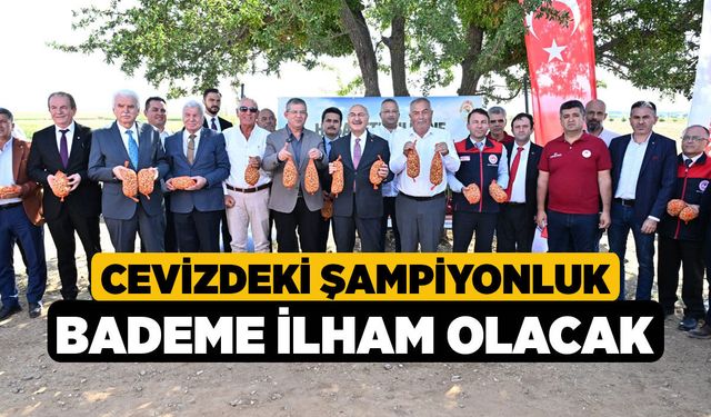 Cevizdeki Şampiyonluk Bademe İlham Olacak