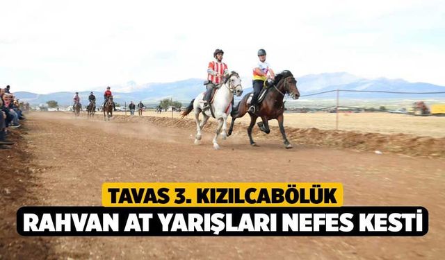 Tavas 3. Kızılcabölük Rahvan At Yarışları Nefes Kesti