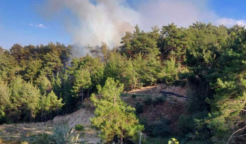 Yerleşim alanlarını tehdit eden orman yangını söndürüldü