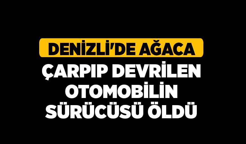 Denizli'de ağaca çarpıp devrilen otomobilin sürücüsü öldü