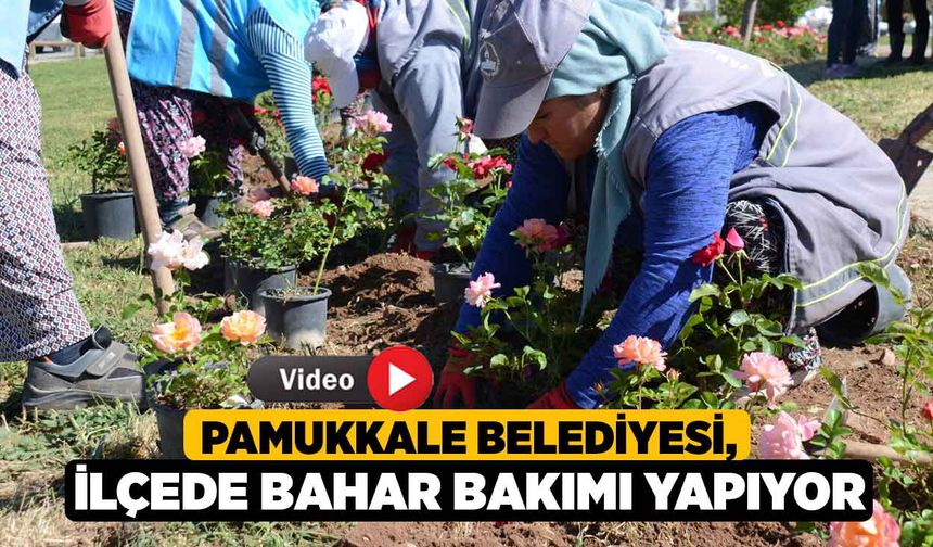 Pamukkale Belediyesi, İlçede Bahar Bakımı Yapıyor