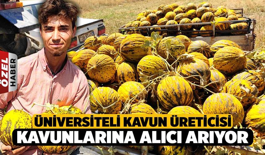 Üniversite Öğrencisi Ürettiği Kavunu Satmakta Zorlanıyor