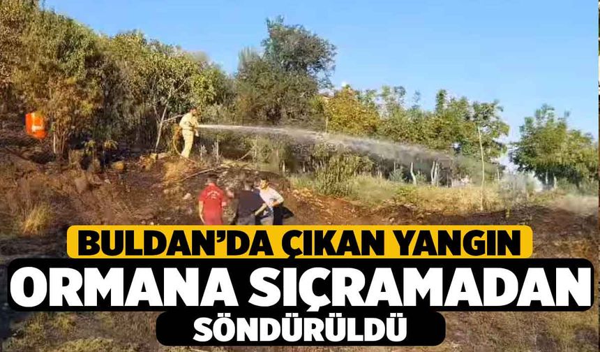 Denizli'de Yangın Ormana Sıçramadan Kontrol Altına Alındı