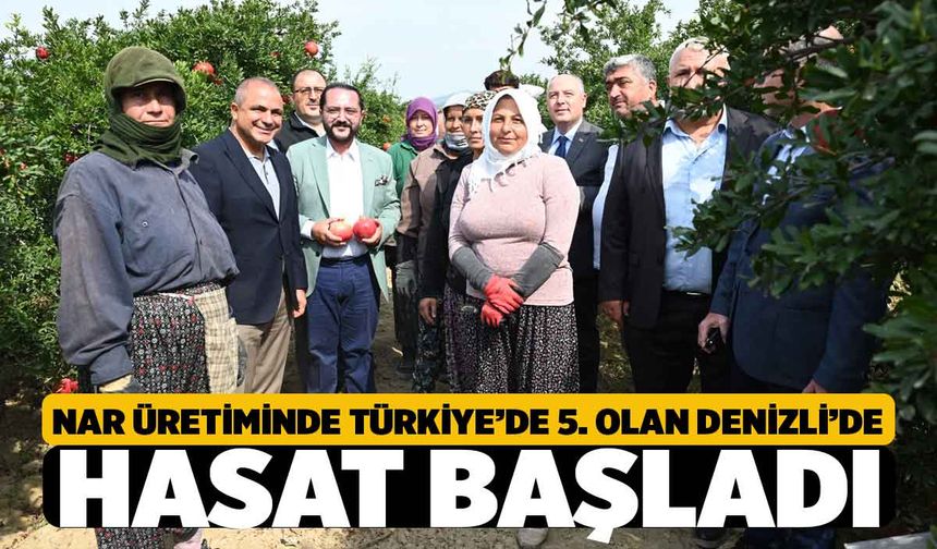 Irlıganlı'da Nar Hasadı Başladı