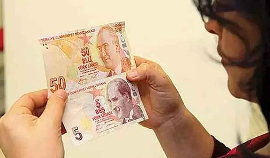 Yeni 5 ve 50 liralık banknotlar tedavülde