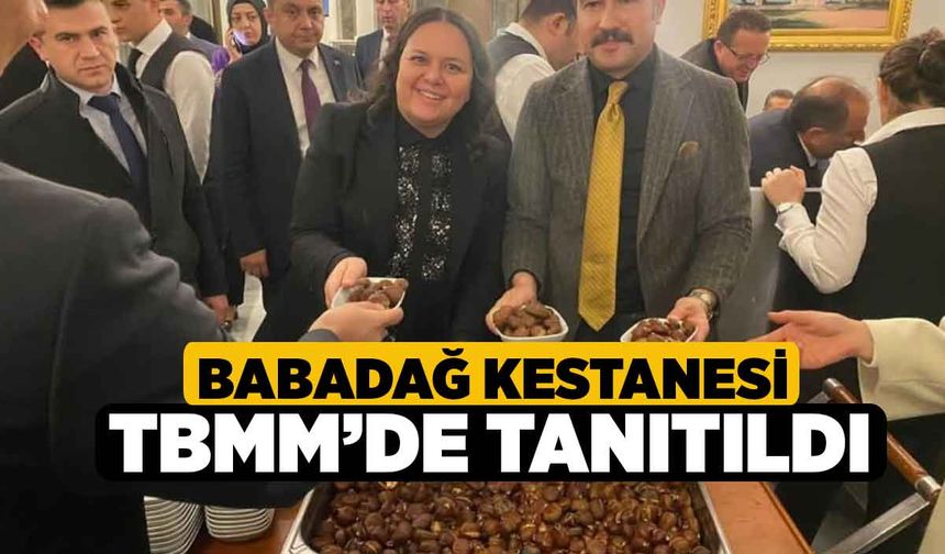 Babadağ Kestanesi TBMM’de tanıtıldı