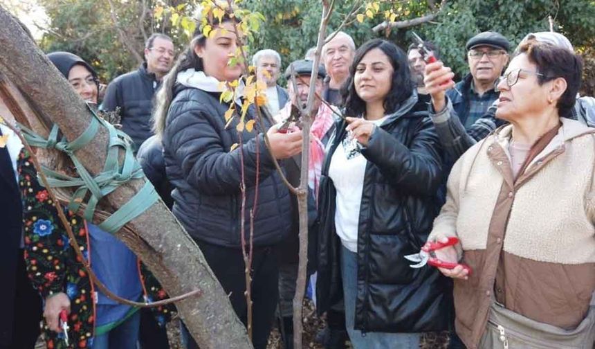 Gönüllü çevreciler budama ve aşılama eğitimi aldı