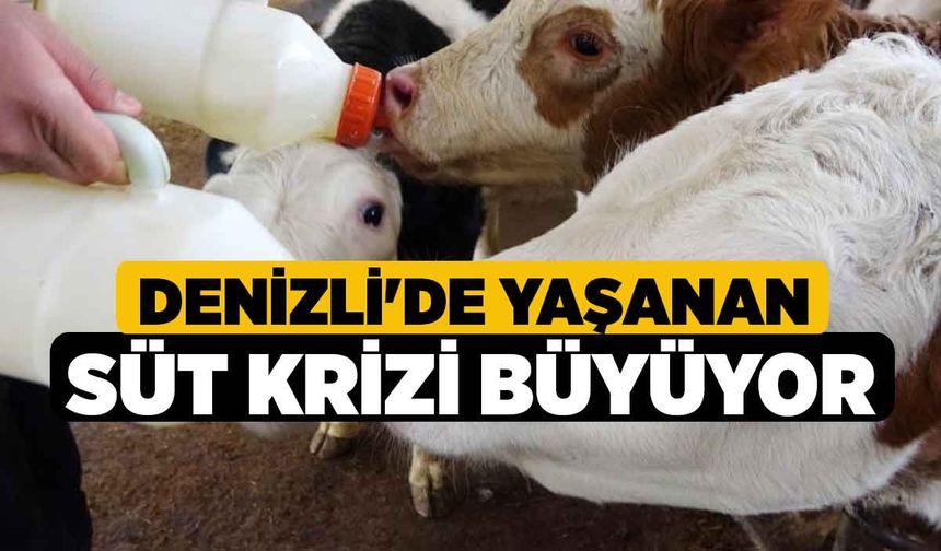 Denizli'de yaşanan süt krizi büyüyor