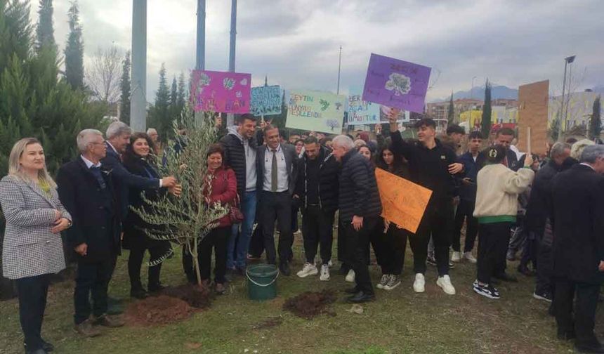 Meslek lisesinin 63. yaşında 63 adet zeytin ağacı sonsuzluğa kök saldı