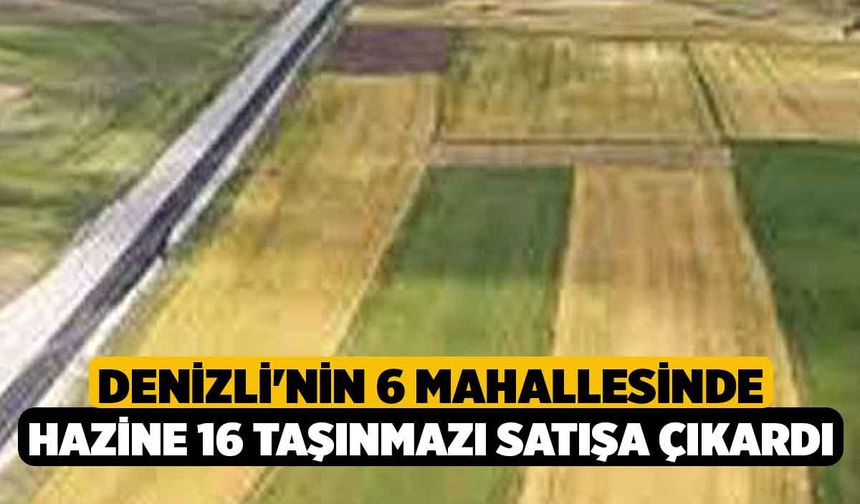 Denizli'nin 6 mahallesinde Hazine 16 Taşınmazı Satışa Çıkardı