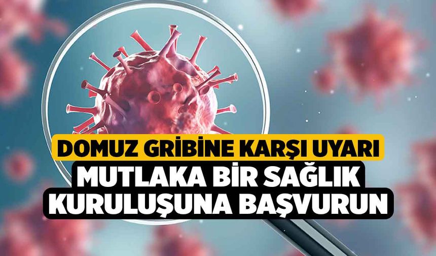 Domuz Gribine Karşı Uyarı, Mutlaka Bir Sağlık Kuruluşuna Başvurun