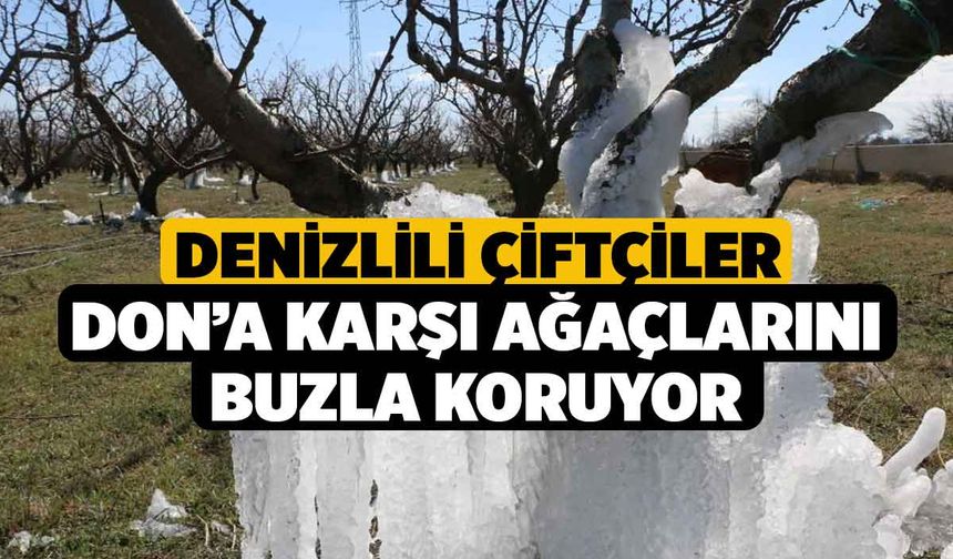 Denizlili Çiftçiler Don’a Karşı Ağaçlarını Buzla Koruyor