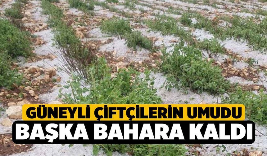 Güneyli çiftçilerin umudu başka bahara kaldı