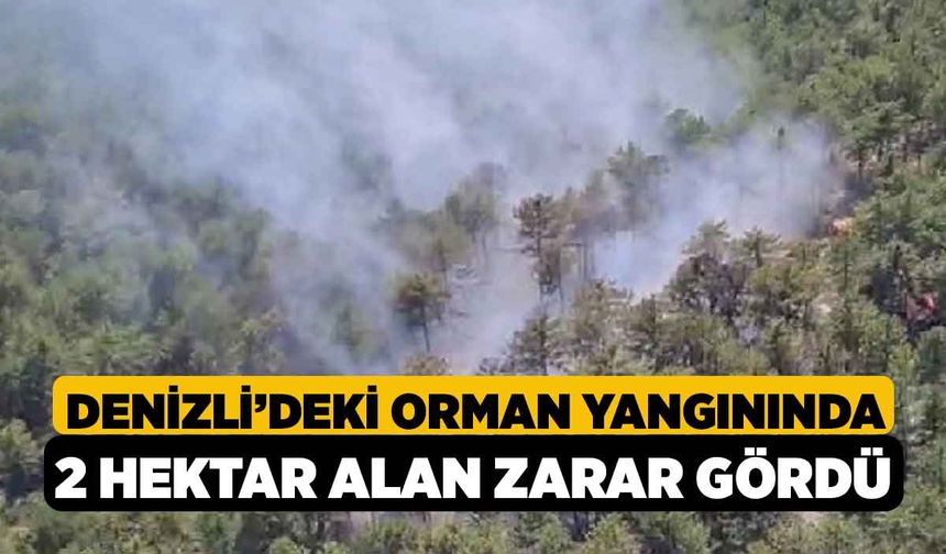 Denizli’deki orman yangınında 2 hektar alan zarar gördü