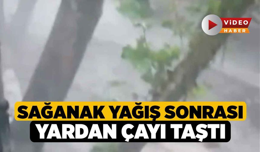 Sağanak Yağış Sonrası Yardan Çayı taştı