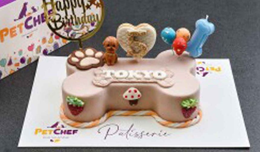 Petchef’ten Köpek Pastası ve Hipoalerjenik Mama ile Sağlıklı Beslenme