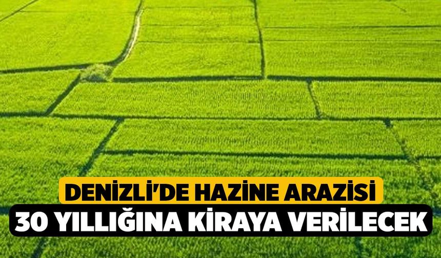 Denizli'de hazine arazisi 30 yıllığına kiraya verilecek