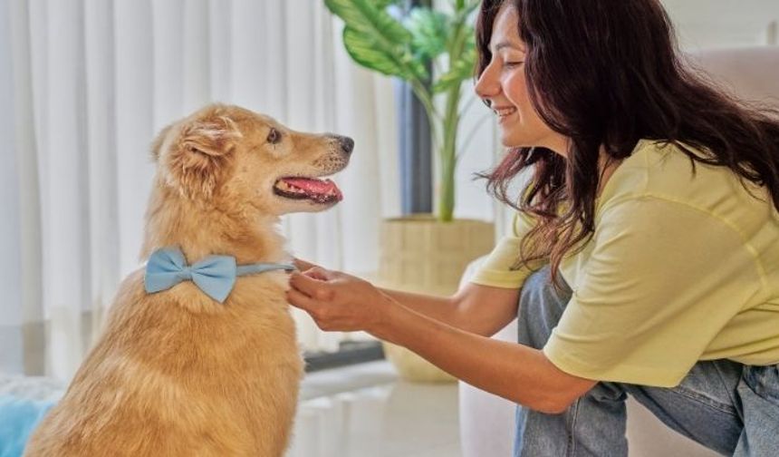 Ankara’da Güvenli ve Konforlu Bir Deneyim: Pet Otel Ankara Hizmetleri