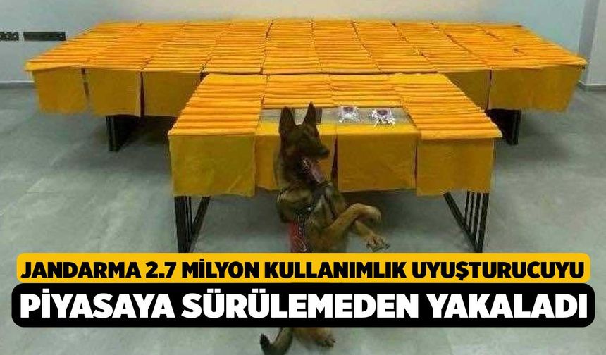 Jandarma 2.7 milyon kullanımlık uyuşturucuyu piyasaya sürülemeden yakaladı