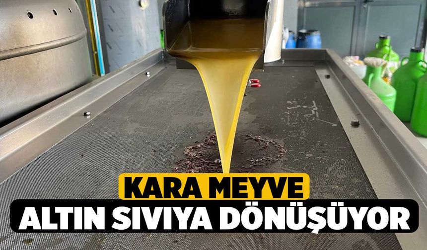 Kara meyve altın sıvıya dönüşüyor
