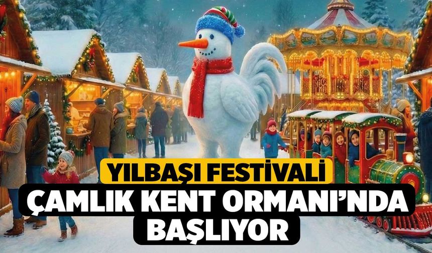 Yılbaşı Festivali Çamlık Kent Ormanı’nda başlıyor