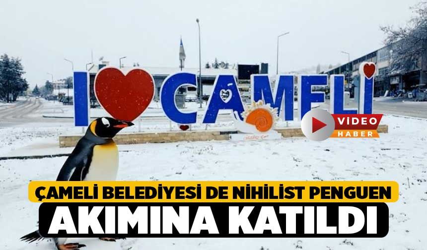 Çameli Belediyesi de nihilist penguen akımına katıldı