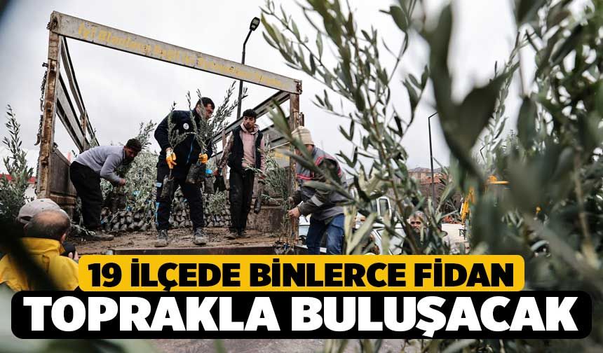 19 ilçede binlerce fidan toprakla buluşacak