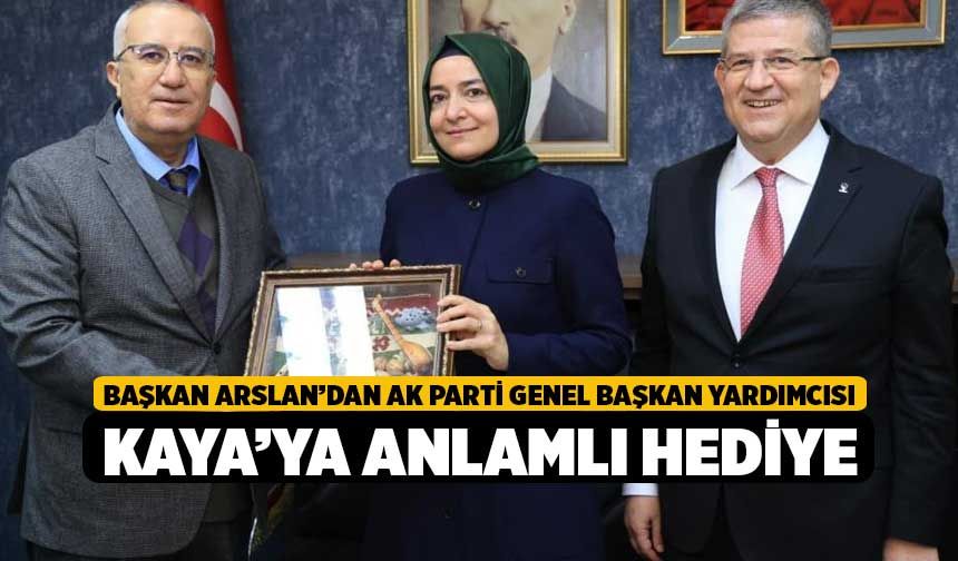Başkan Arslan’dan AK Parti Genel Başkan Yardımcısı Kaya’ya anlamlı hediye