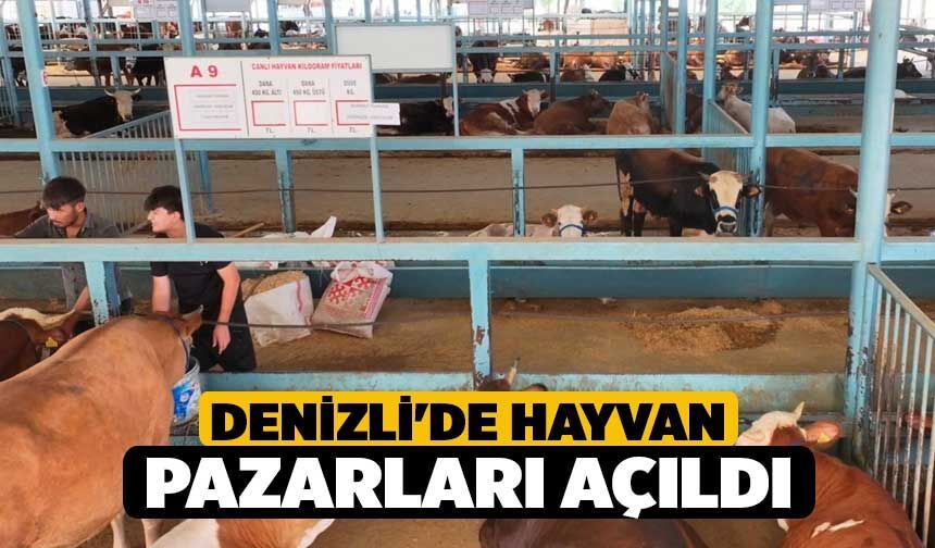 Denizli'de Hayvan Pazarları Açıldı