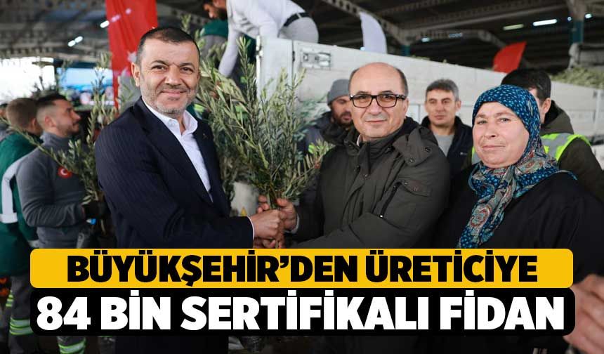 Denizli’de Zeytin Seferberliği: 84 Bin Fidan Toprakla Buluştu!