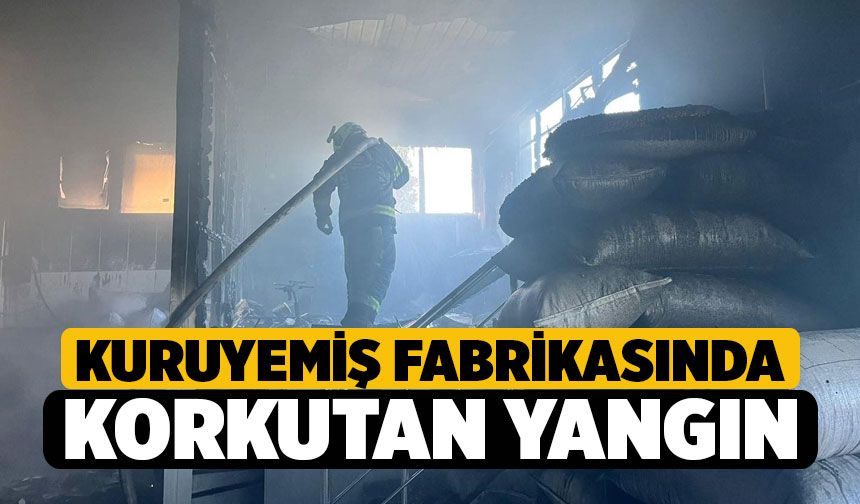 Kuruyemiş fabrikasında korkutan yangın