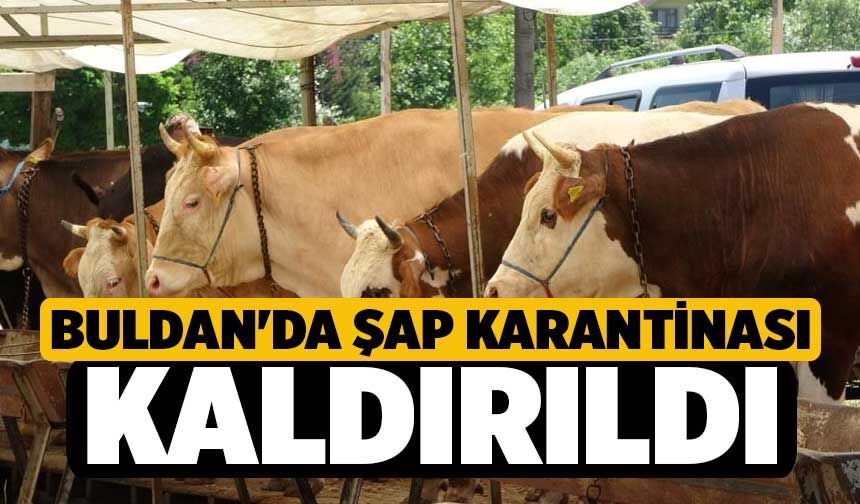 Buldan'da şap karantinası kaldırıldı