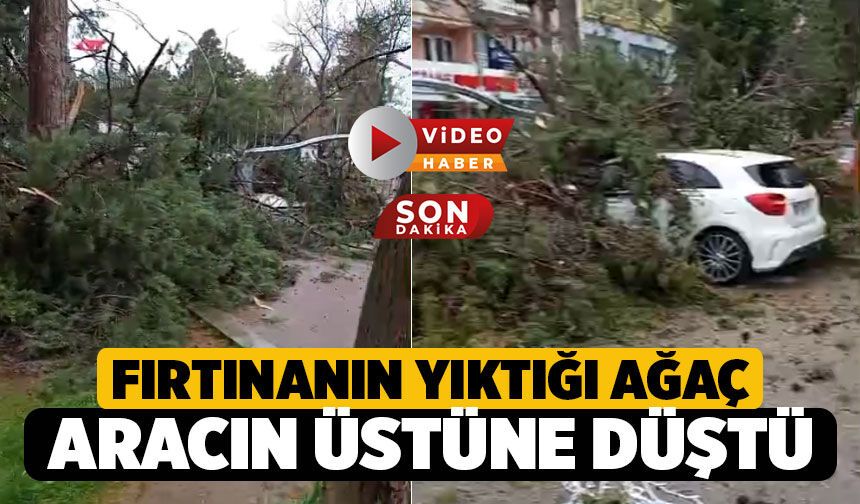 Tavas'ta Fırtınanın Devirdiği Ağaç Aracın Üstüne Düştü, Yol Kapandı