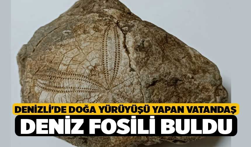 Denizli'de Doğa Yürüyüşü Yapan Vatandaş Deniz Fosili Buldu