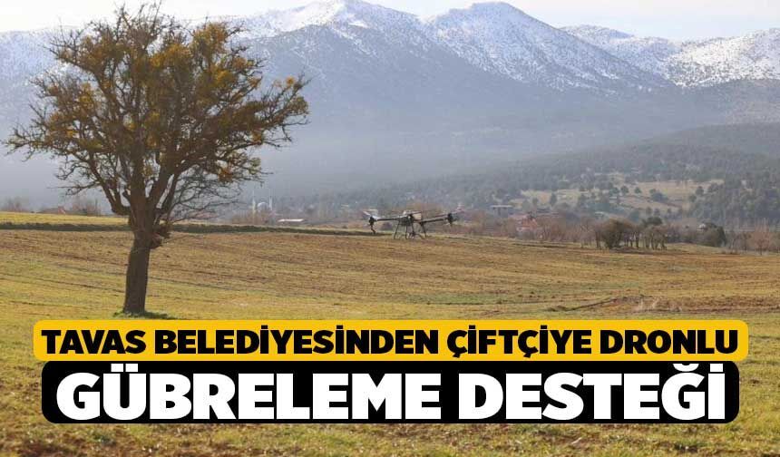Tavas Belediyesinden çiftçiye dronlu gübreleme desteği