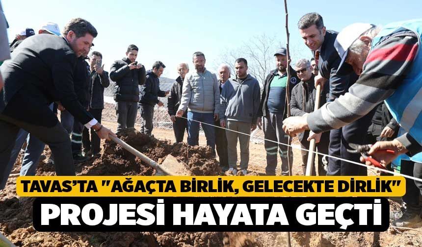 Tavas’ta "Ağaçta Birlik, Gelecekte Dirlik" projesi hayata geçti